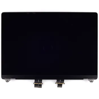 Genuine LCD Screen (Display) Assembly (661-21968) Silver A2485 A2780