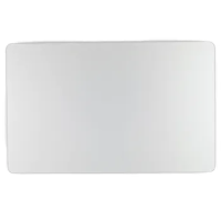 Genuine Trackpad (Touchpad) w/ Screws w/ Flexures, Silver A2485