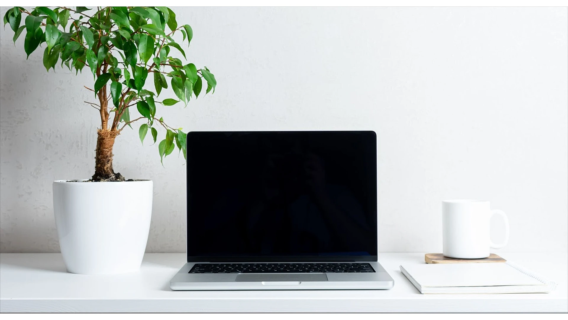 Black Screen on MacBook Pro: How to Fix It