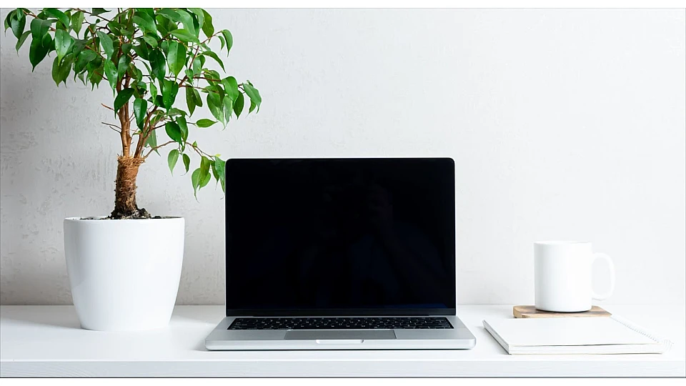 Pantalla negra en MacBook Pro: cómo solucionarlo