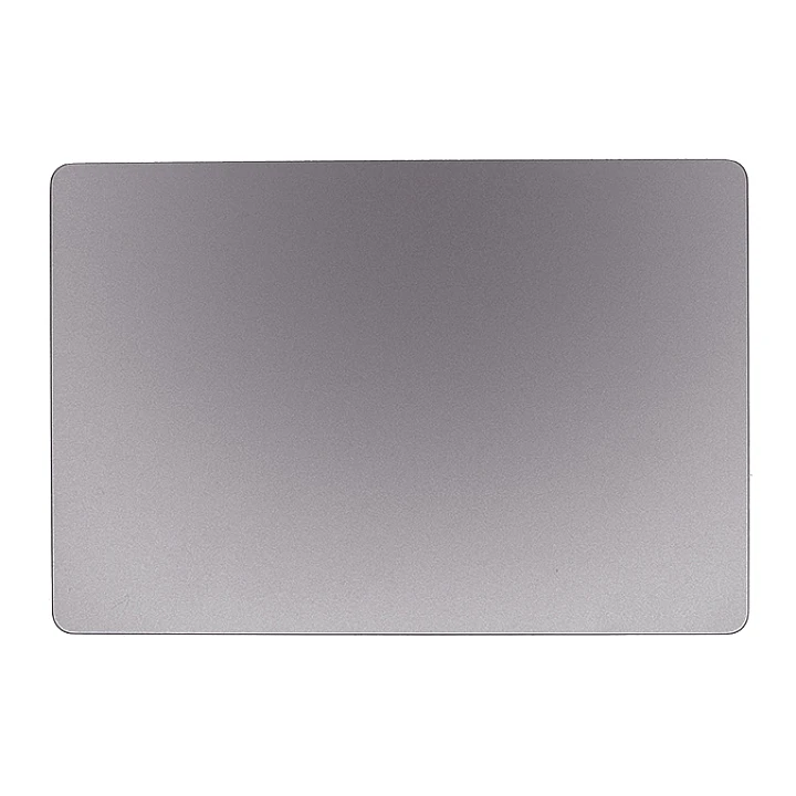 Genuine Trackpad w/ Flexures ( Touchpad ) , Space Gray A2289 2020