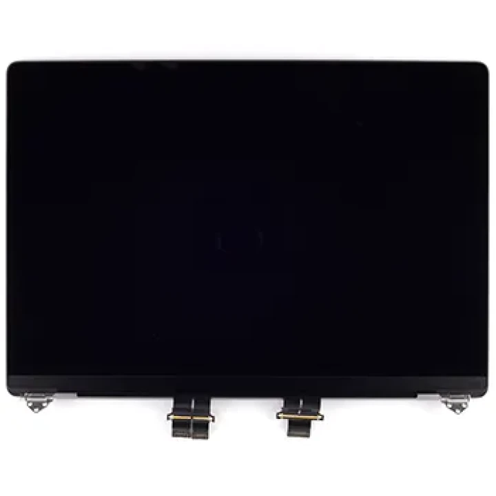 Genuine LCD Screen (Display) Assembly (661-21968) Silver A2485 A2780